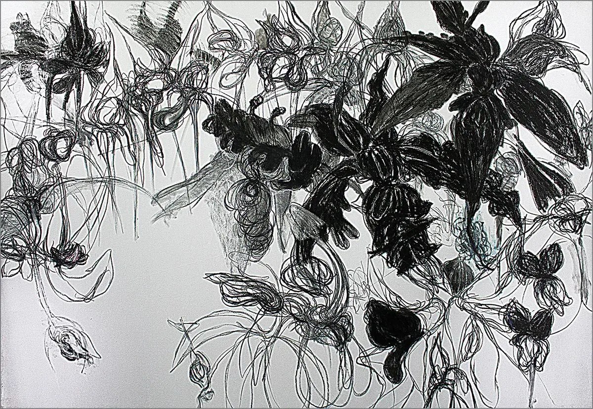 Exposición Individual: Ángel Ricardo Ríos — imagen 1