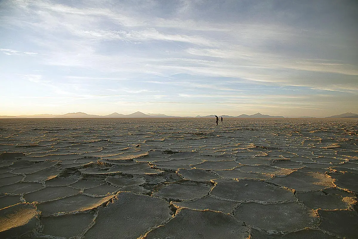 Exposición: Tomás Saraceno: Entre la realidad y la utopía — imagen 2