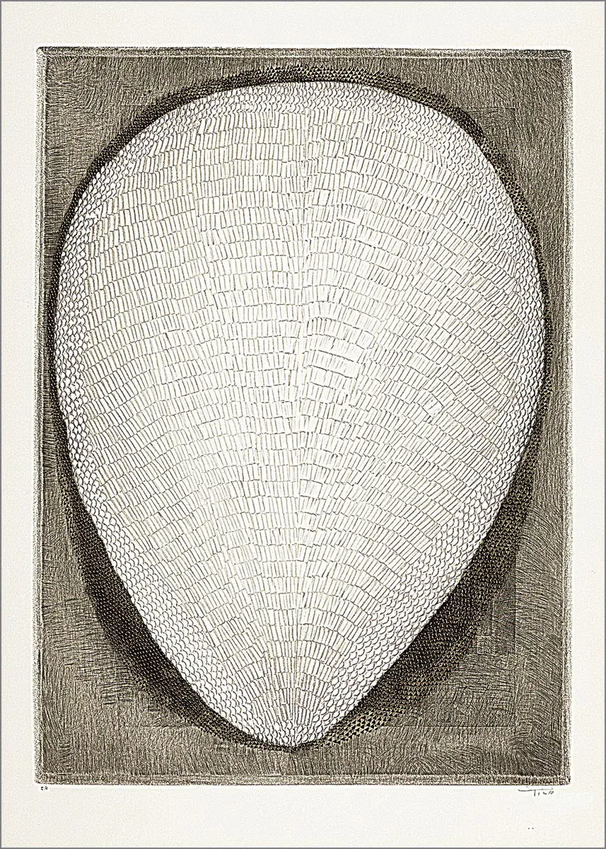 Exposición: Arthur Luiz Piza — imagen 2