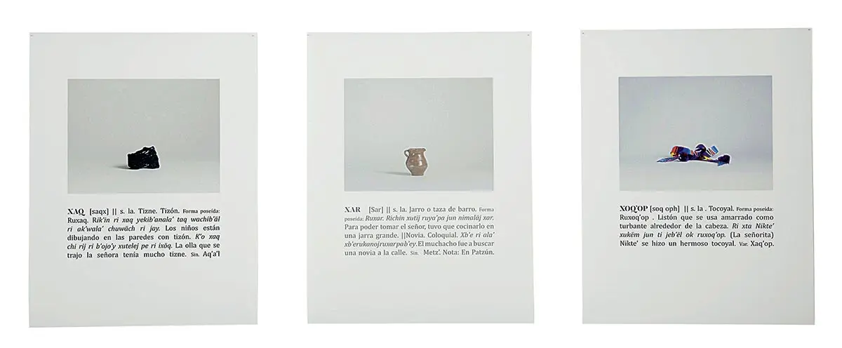 Bienal: La 20 Bienal de Arte Paiz en Guatemala — imagen 3