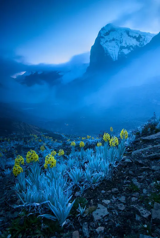 Gabriel Eisenband Gontovnik, ganador de Wildlife Photography