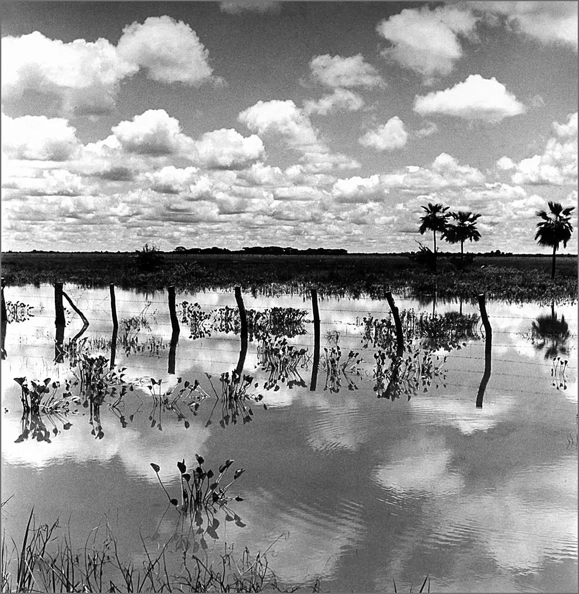 Fotografía: Ver-estar. La obra fotográfica de — imagen 1