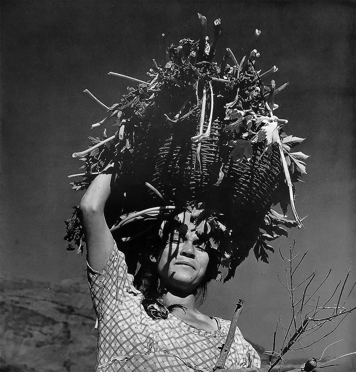 Fotografía: Ver-estar. La obra fotográfica de — imagen 7