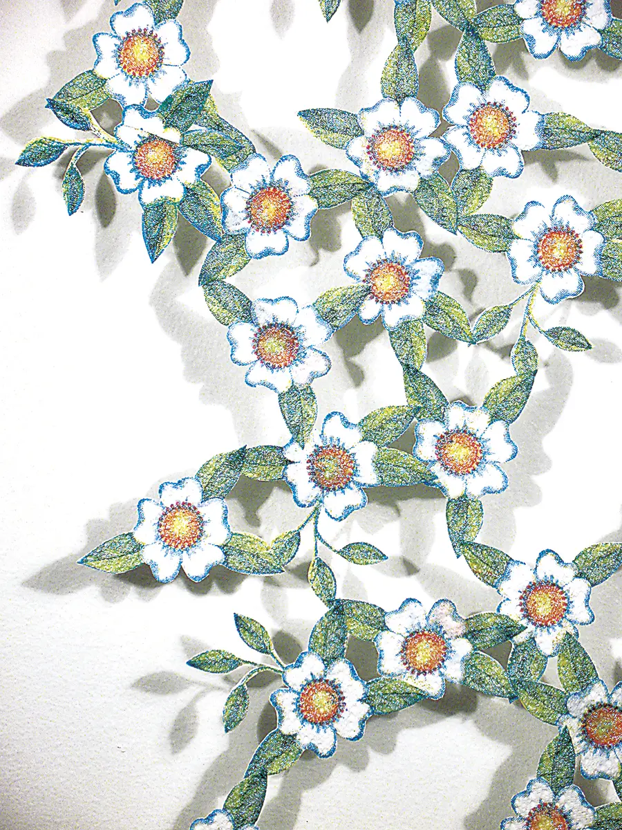 Exposición Individual: Lucrecia Troncoso — imagen 1