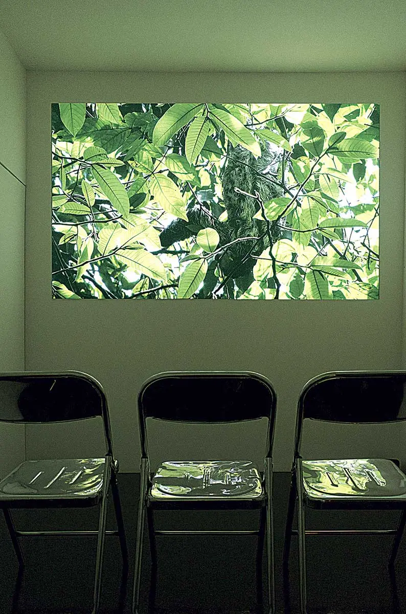 Exposición Individual: Melanie Smith — imagen 1