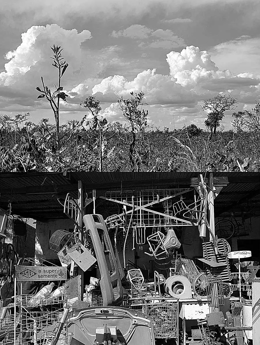 Exposición Individual: Sergio Vega  — imagen 1