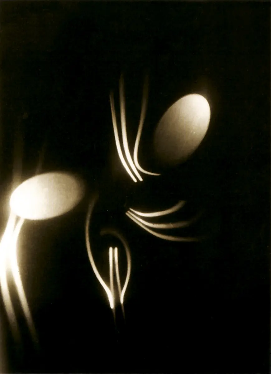 Monografía: Abraham Palatnik — imagen 2