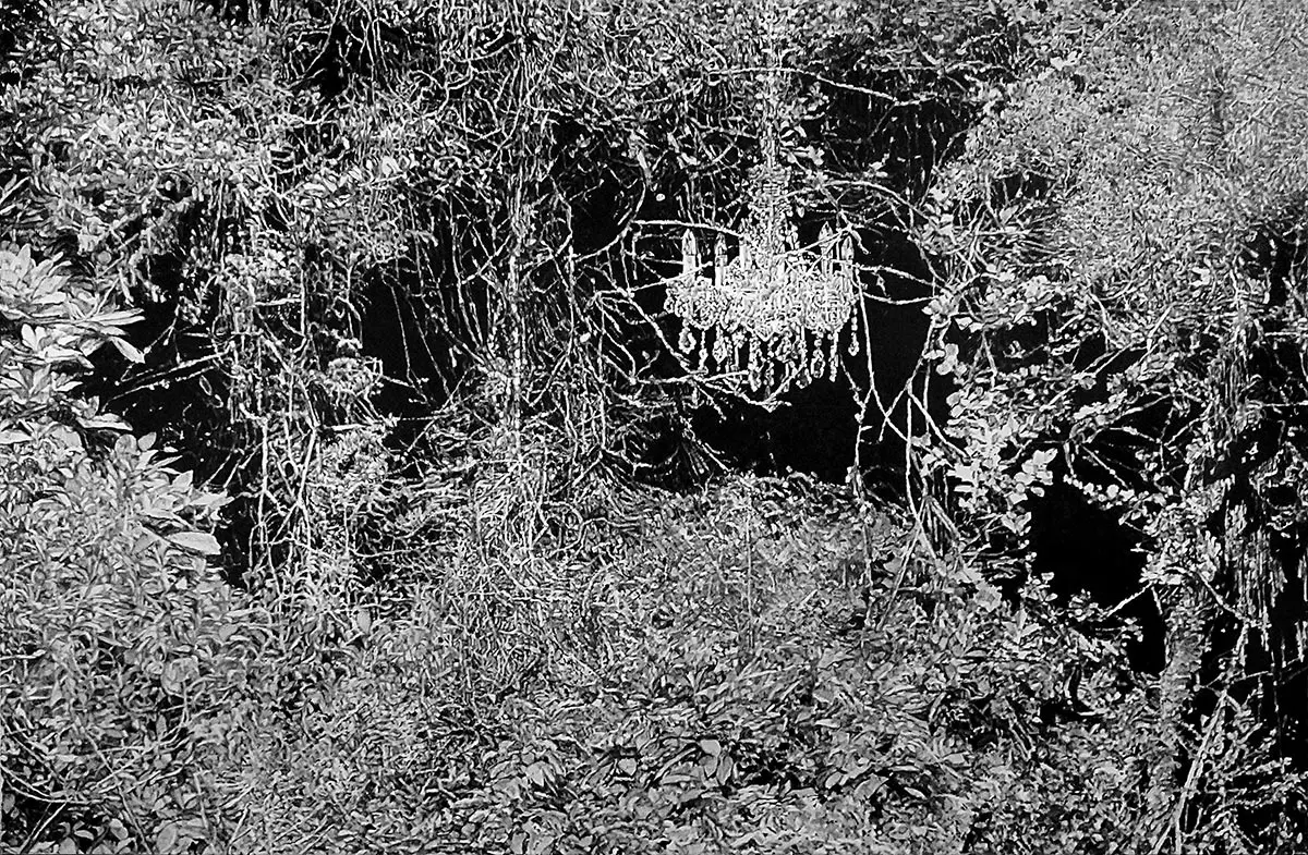 Exposición Individual: Hugo Bastidas — imagen 1
