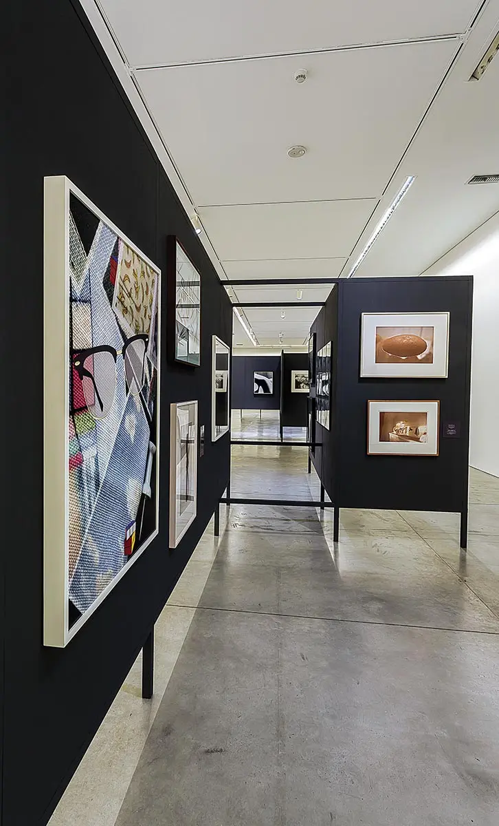 Exposición: Creador de una “Cámara de maravillas” — imagen 1