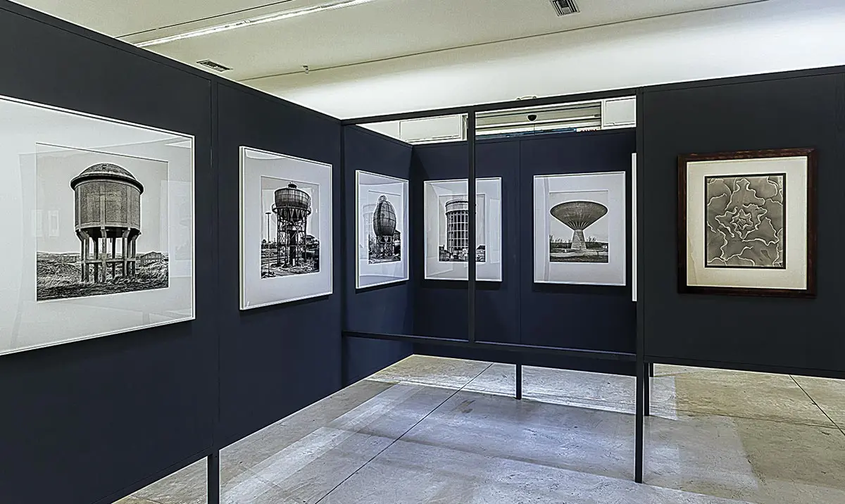 Exposición: Creador de una “Cámara de maravillas” — imagen 3