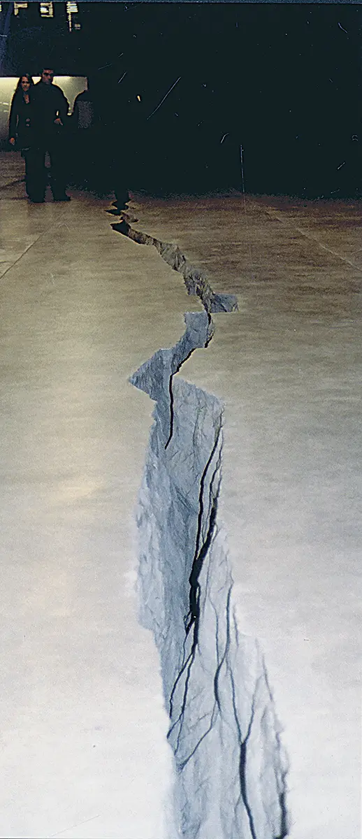 Monografía: Doris Salcedo — imagen 1