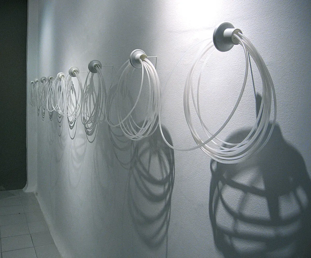 Exposición Individual: Ani Villanueva — imagen 1