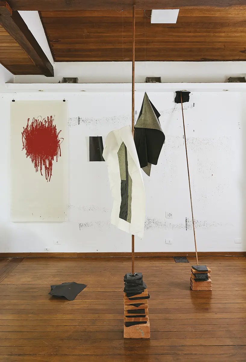 Monografía: Carla Chaim — imagen 1