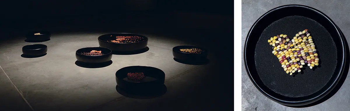 Monografía: X Premio Luis Caballero 2019-2020 — imagen 8