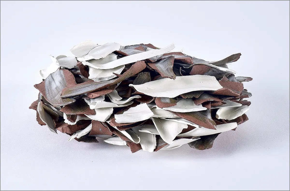 Monografía: Frida Baranek — imagen 2
