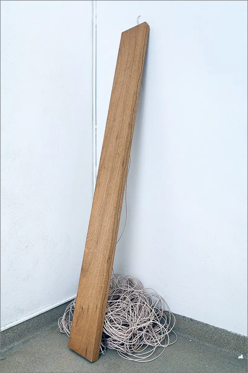 Monografía: Frida Baranek — imagen 4