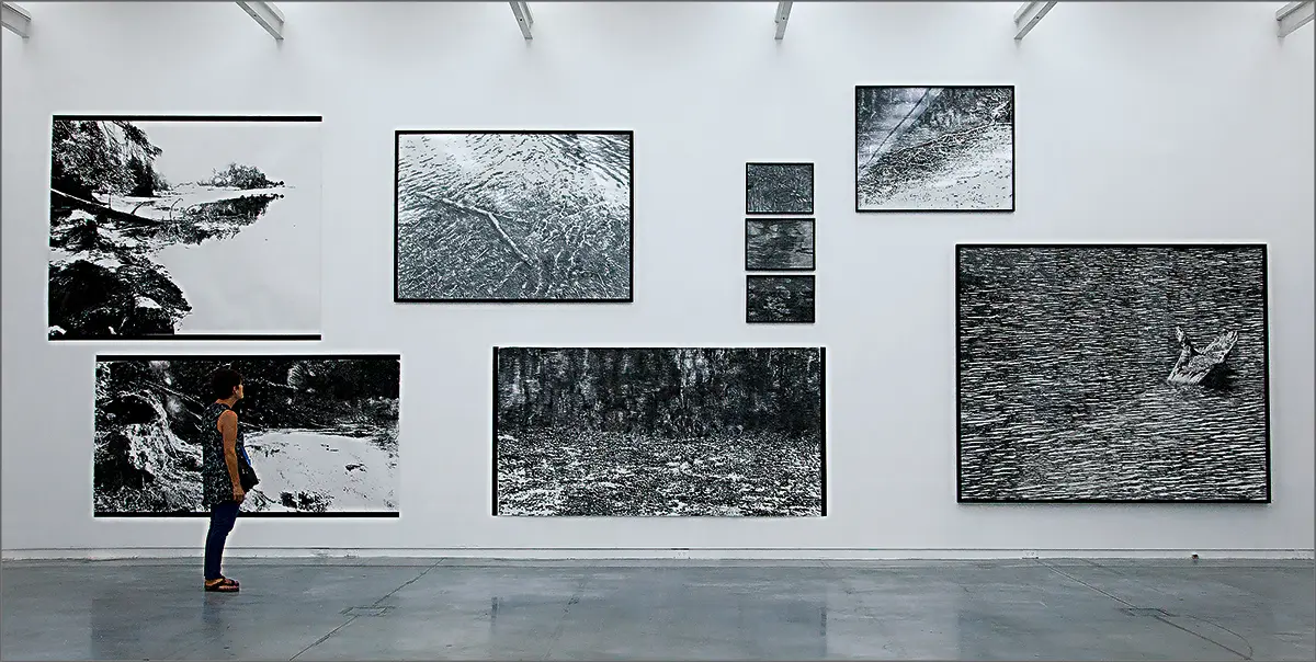Monografía: Ana Gallardo — imagen 6