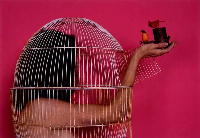 HERland: Mujeres artistas en la colección MOLAA
