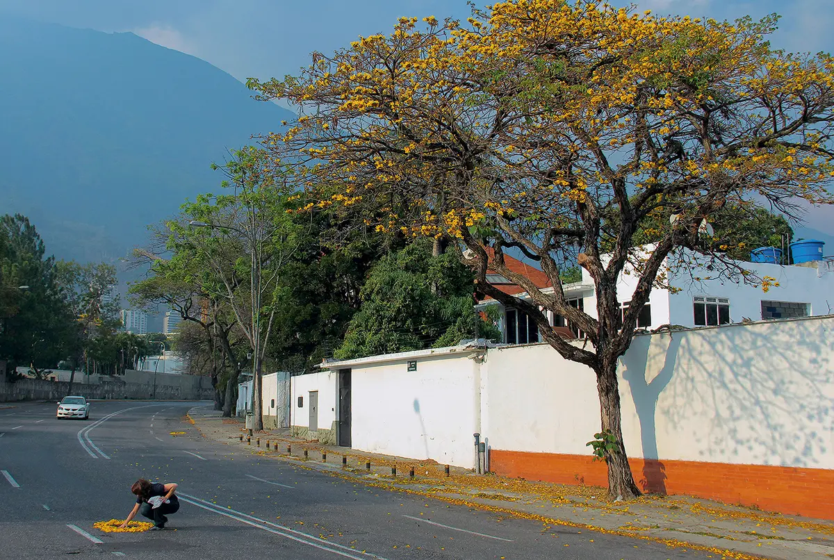 Colectiva: Reinvenciones de la naturaleza  — imagen 1