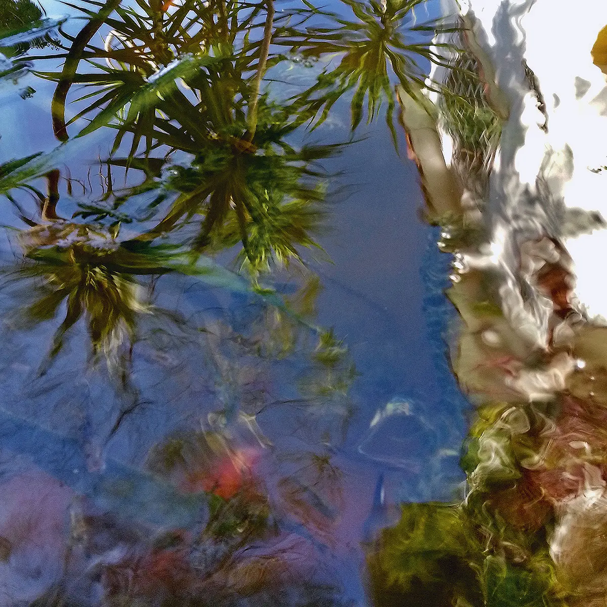 Colectiva: Reinvenciones de la naturaleza  — imagen 4