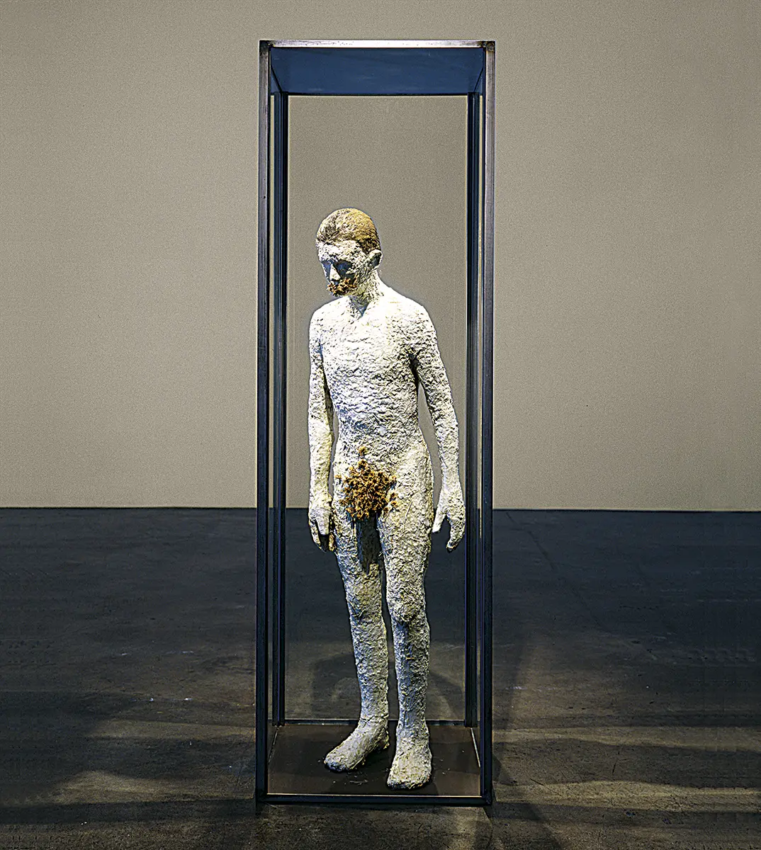Monografía: Enrique Martínez Celaya — imagen 1