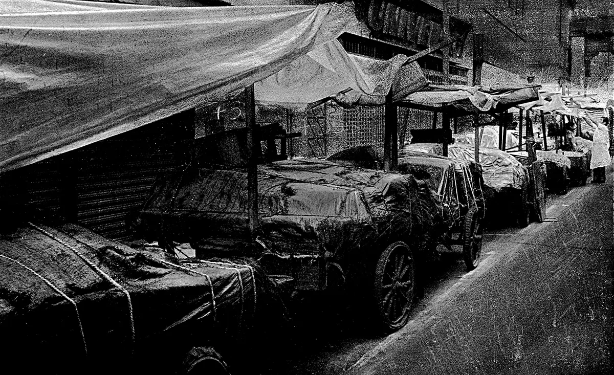 Monografía: Fernell Franco — imagen 2