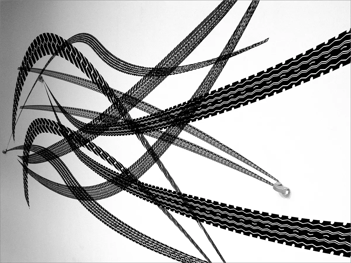 Exposición: Regina Silveira — imagen 2