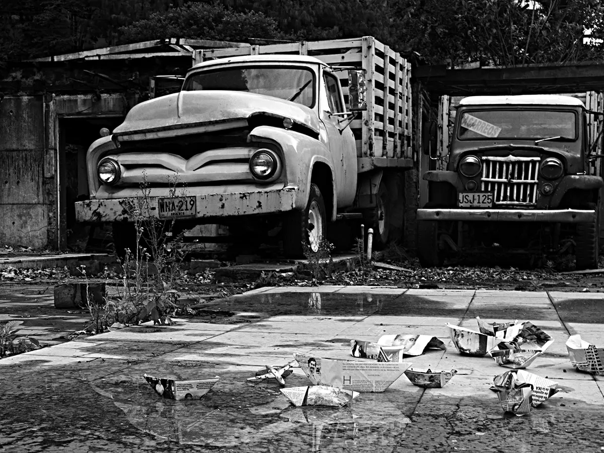 Exposición Individual: François Bucher — imagen 1