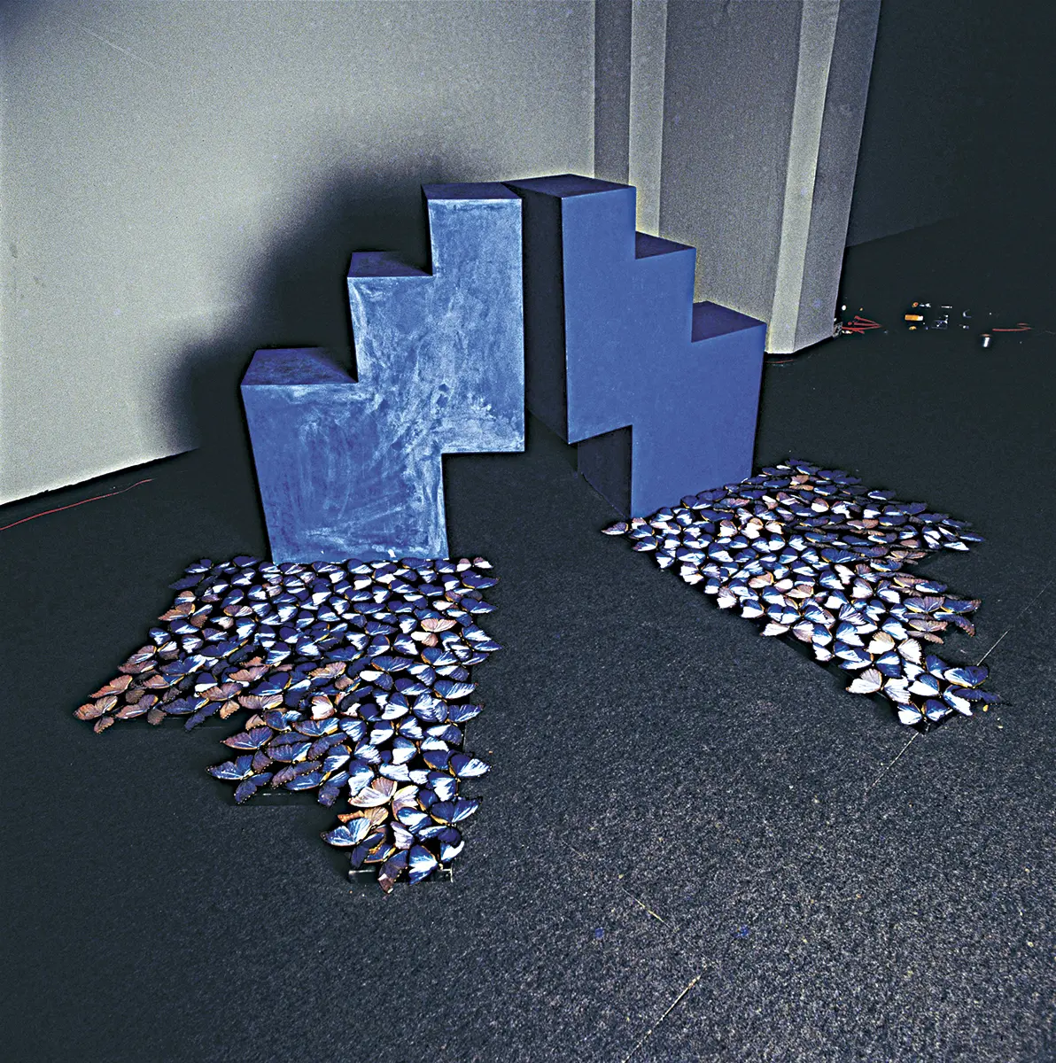 Exposición Individual: Esther Vainstein — imagen 1