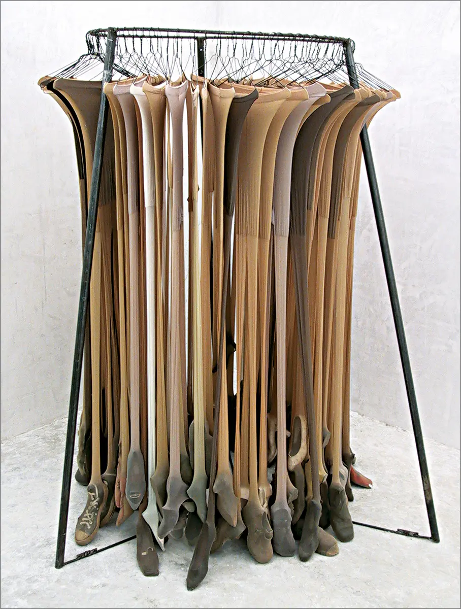 Exposición Individual: María Ezcurra — imagen 1