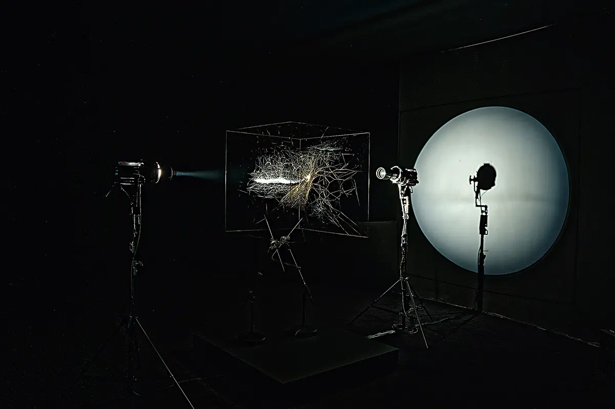 Bienal: Bienal de Lyon — imagen 10