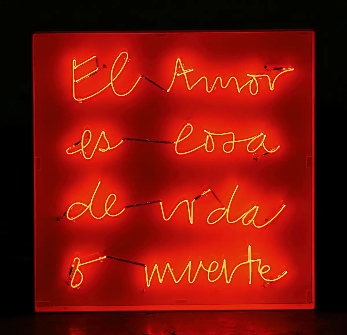 Exposición Individual: Priscilla Monge — imagen 1