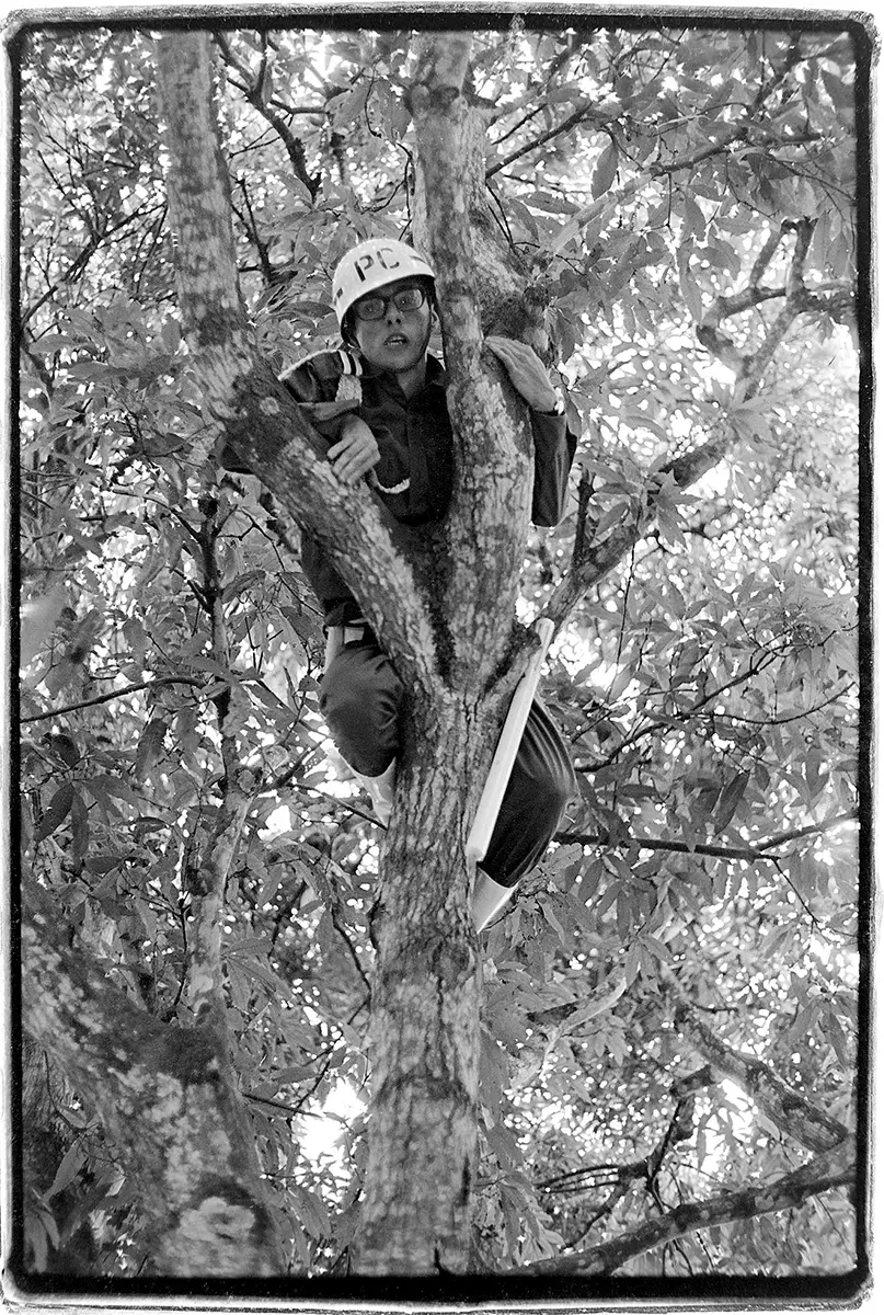Exposición Individual: Eduardo Carvajal — imagen 1