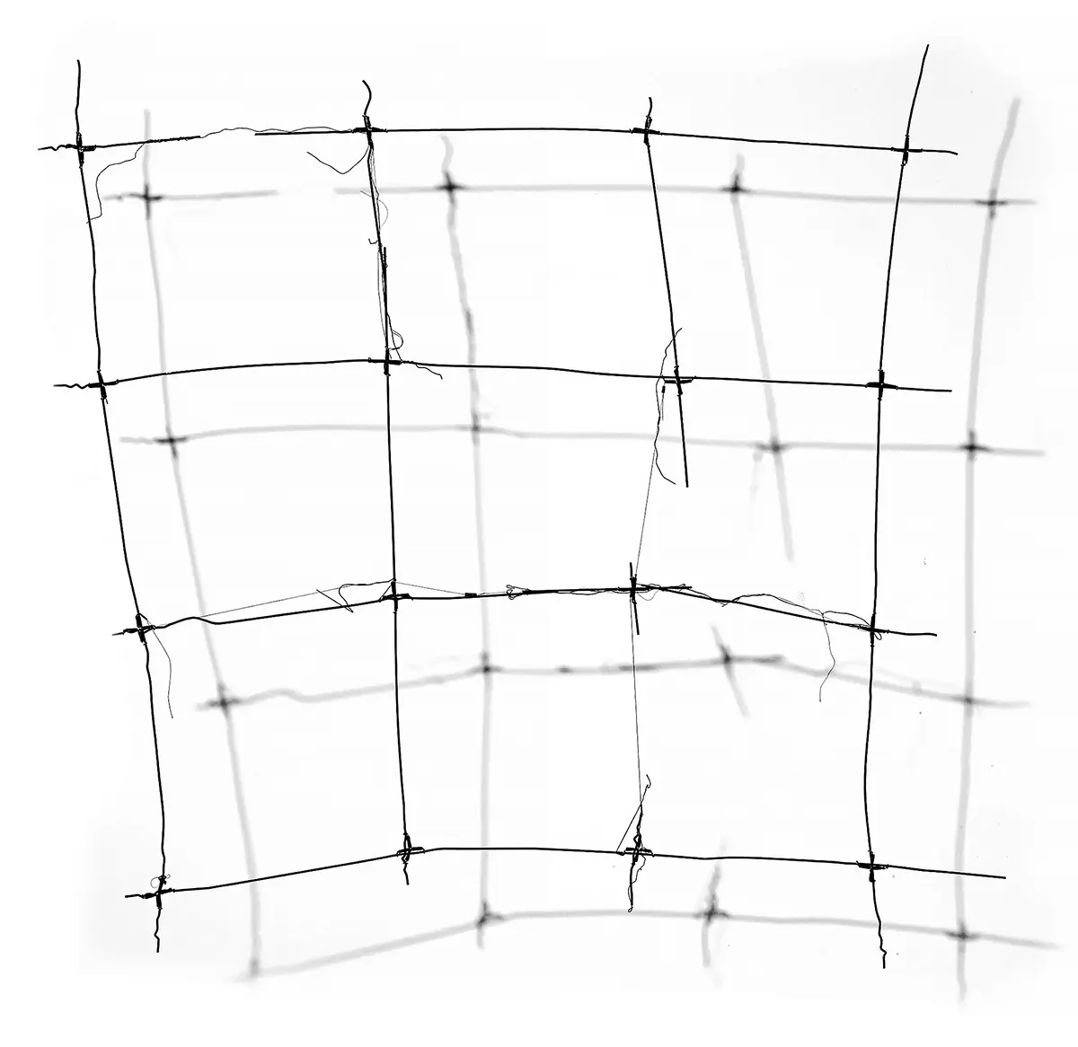 Otros: Colección de Arte Juan Carlos Maldonado — imagen 1