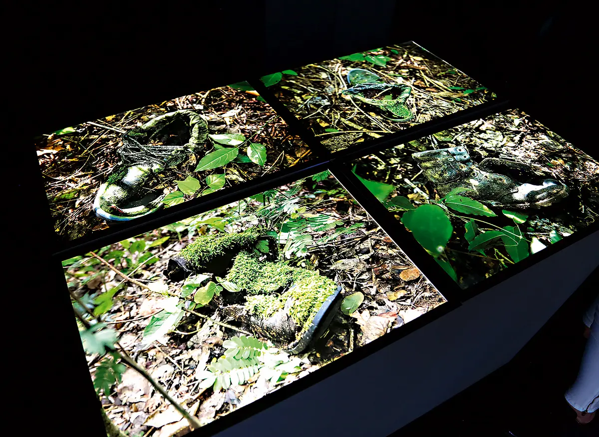 Exposición: Juan Manuel Echavarría — imagen 3