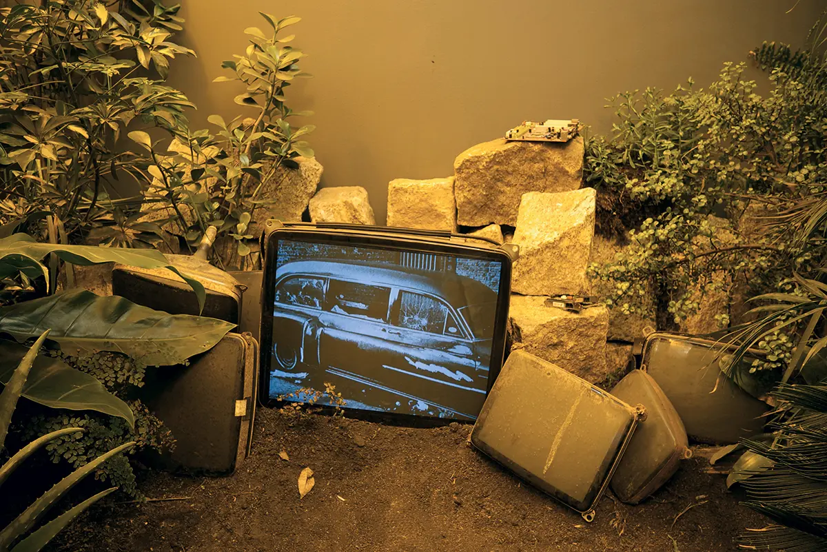 Exposición Individual: Miguel Rio Branco — imagen 1