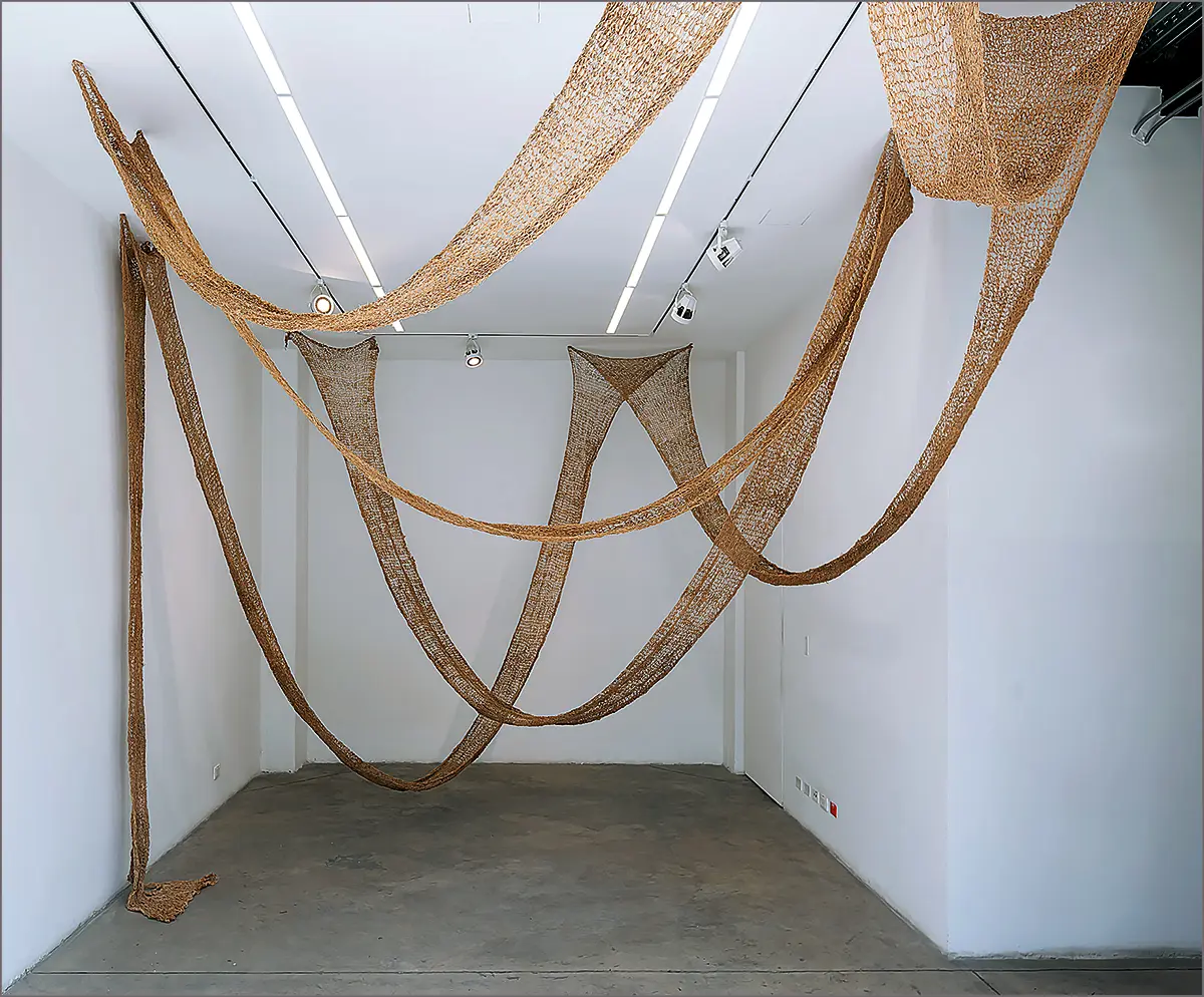 Exposición Individual: María Angélica Medina y Adriana García — imagen 2