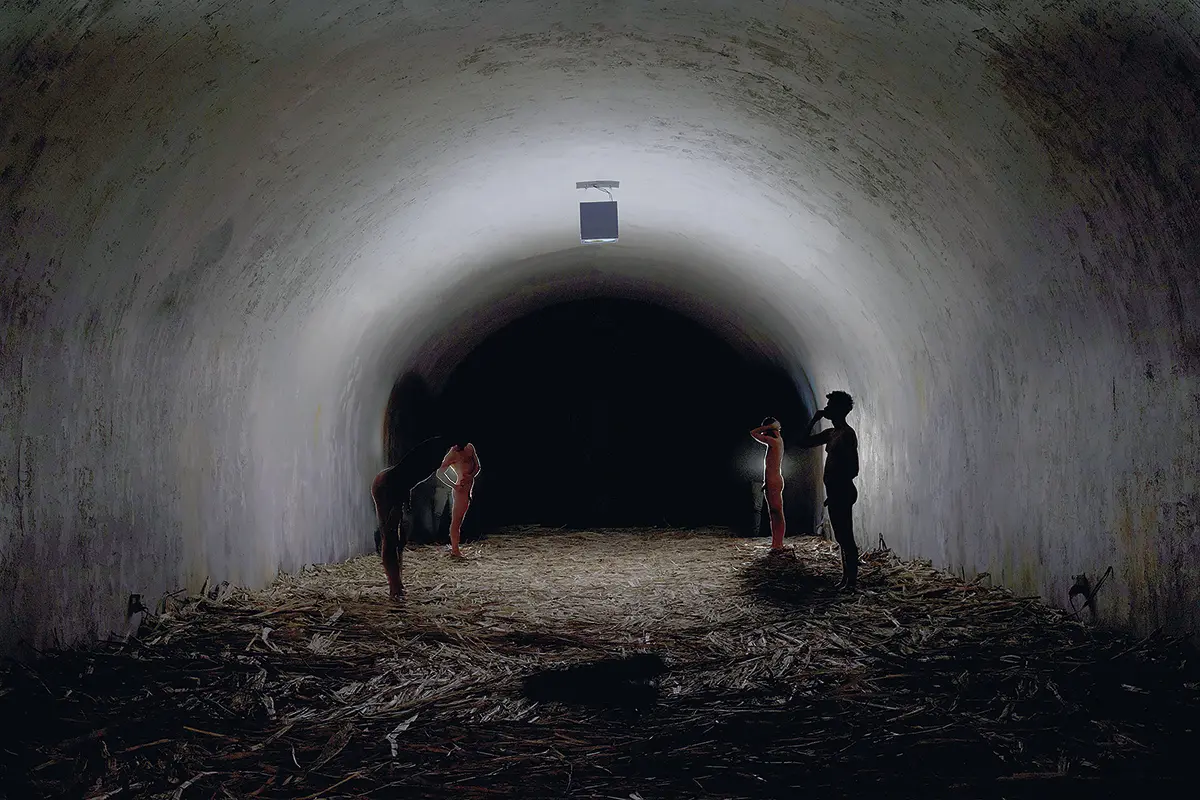 Exposición Individual: Tania Bruguera — imagen 1