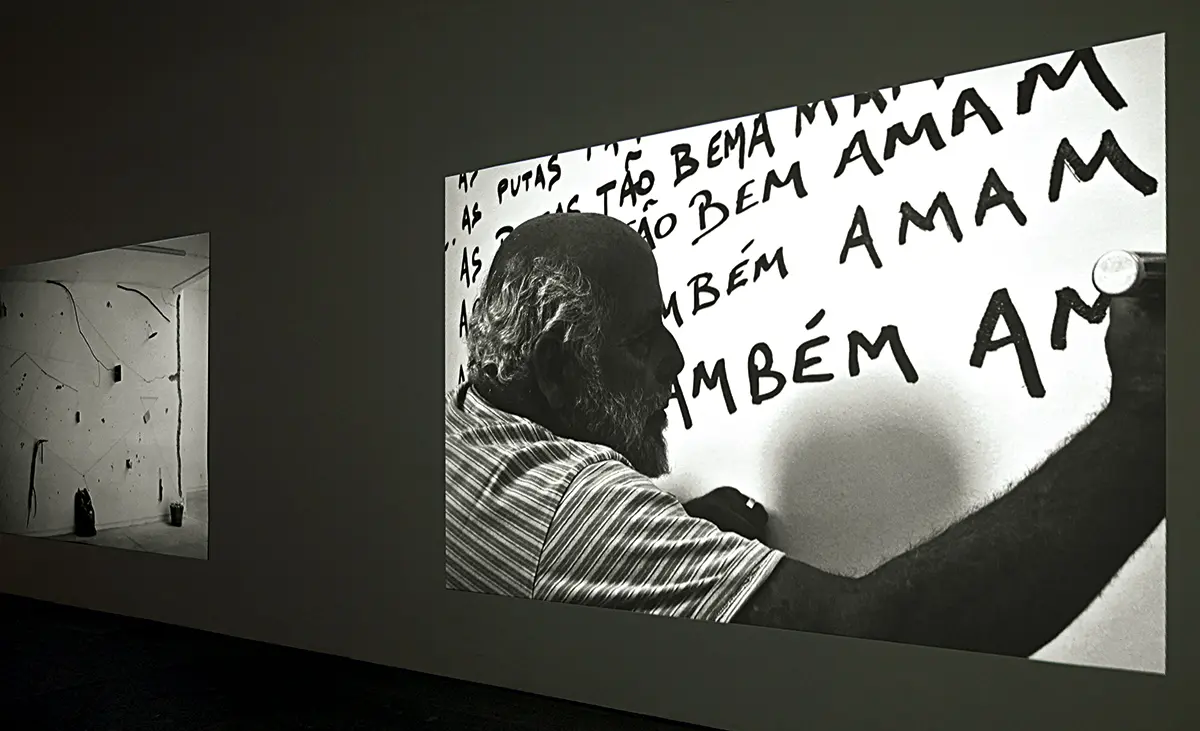 Exposición Individual: Artur Barrio — imagen 1