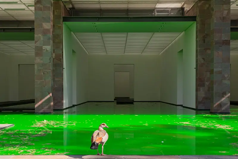 Imagen 2 - Olafur Eliasson inundó la Fondation Beyeler
