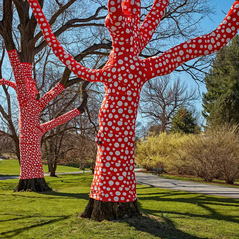 Imagen 1 - Kusama: Cosmic Nature