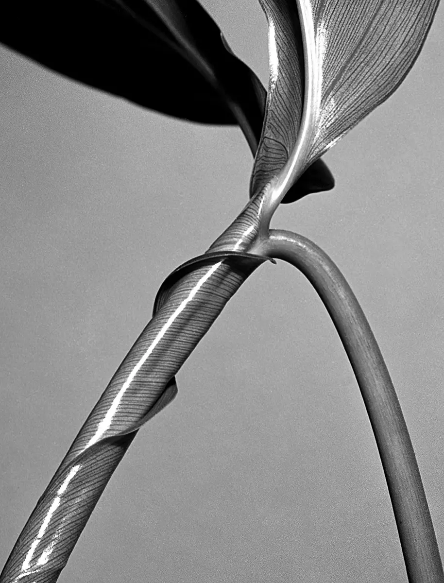 Fotografía: Julio Zadik — imagen 5