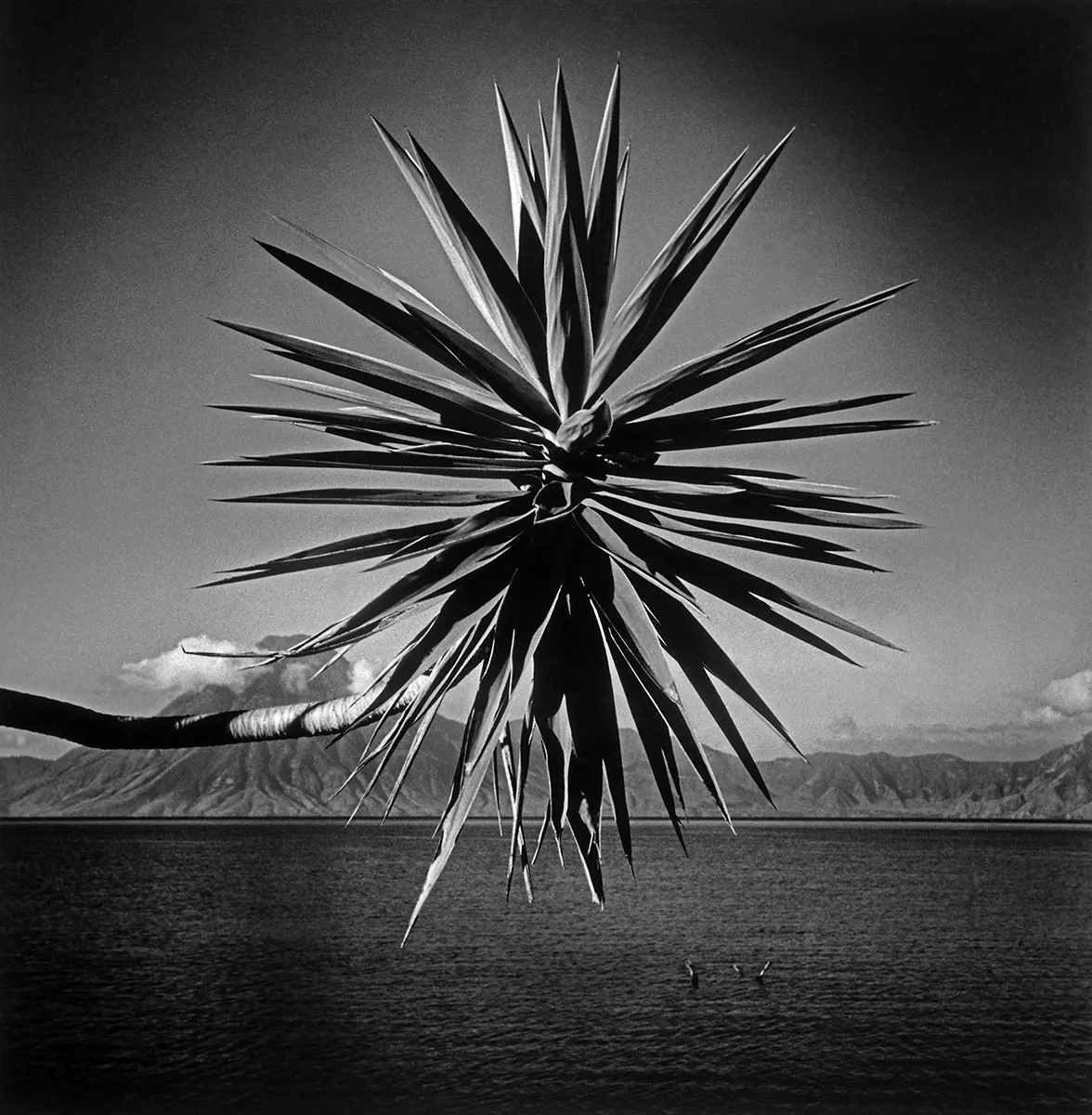 Fotografía: Julio Zadik — imagen 1