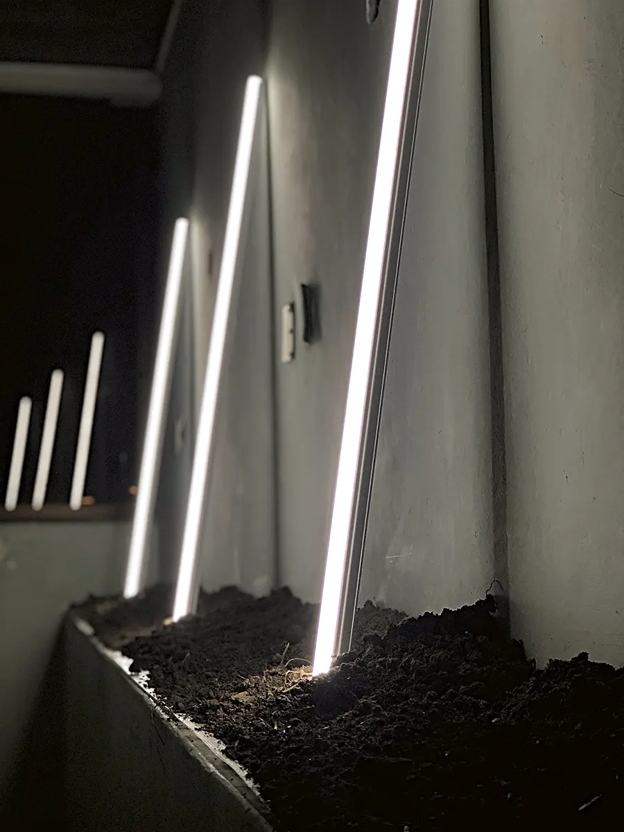 Bienal: XIV Bienal de Cuenca, Ecuador — imagen 6