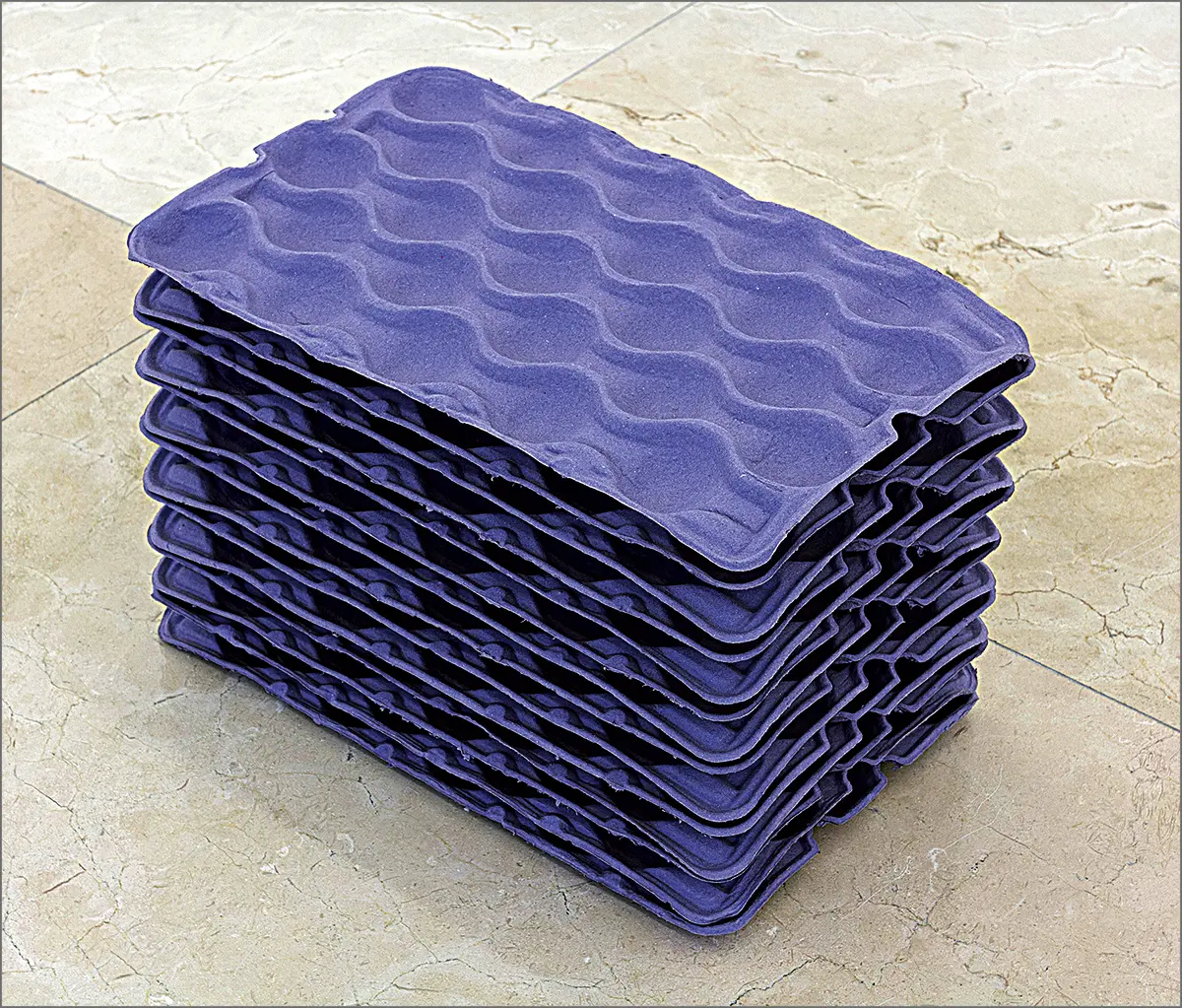Exposición: Pablo Accinelli — imagen 2