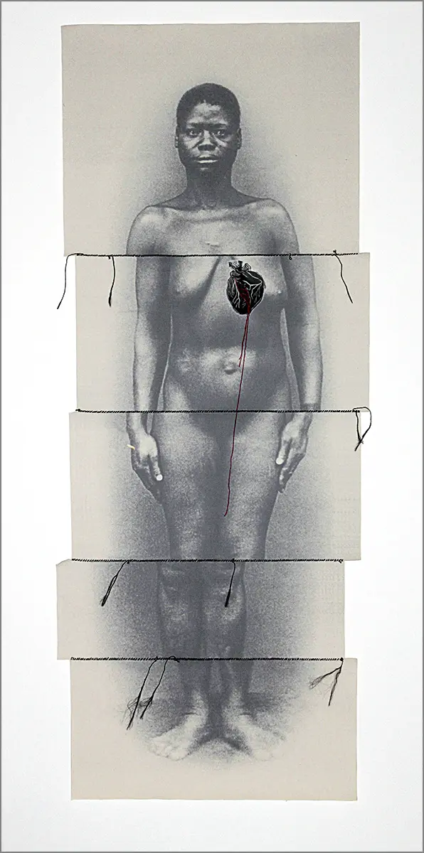 Exposición Individual: Rosana Paulino — imagen 1