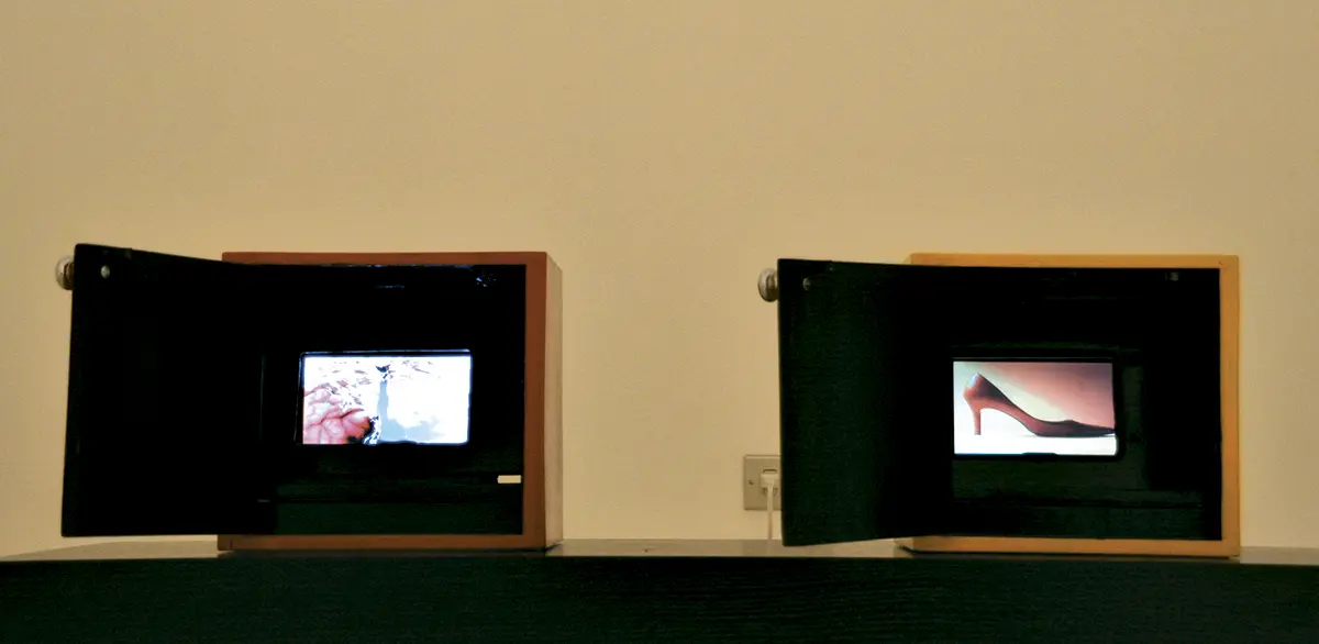 Bienal: La V Bienal de Artes Visuales del Istmo Centroamericano — imagen 8