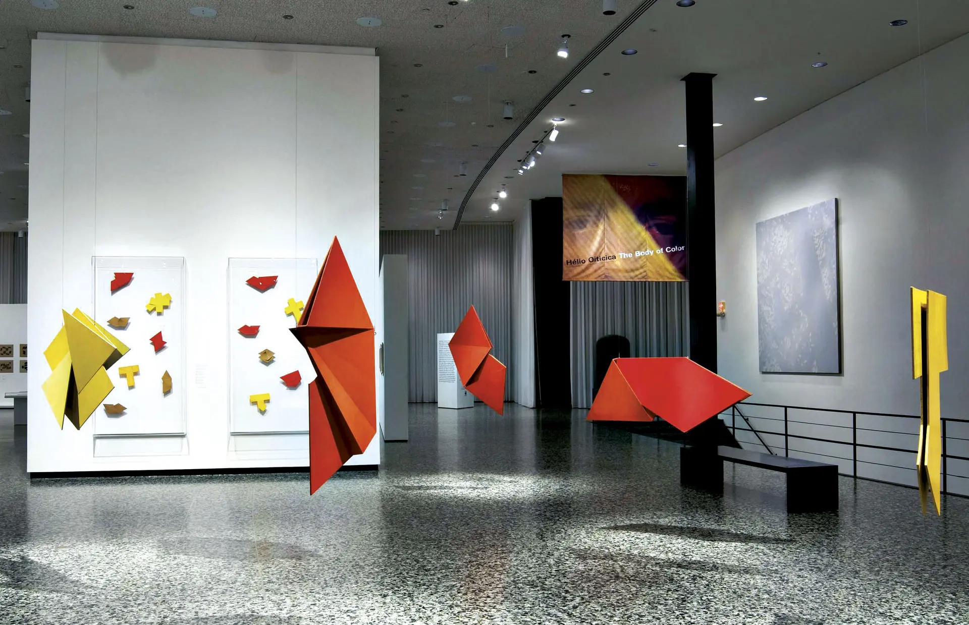 Hélio Oiticica
