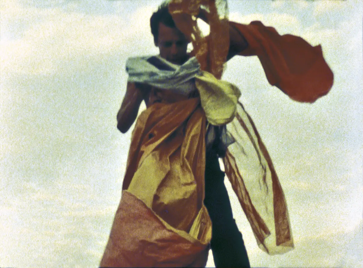 Monografía: Hélio Oiticica — imagen 3