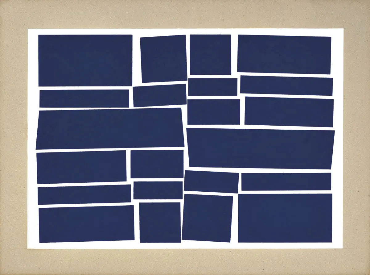 Monografía: Hélio Oiticica — imagen 2